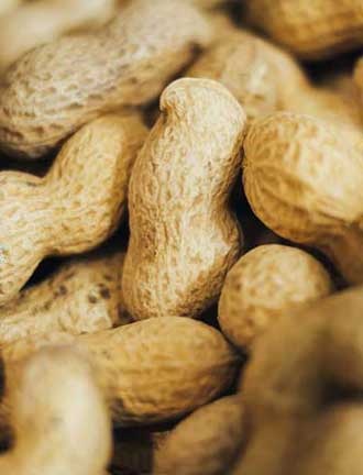 Peanuts