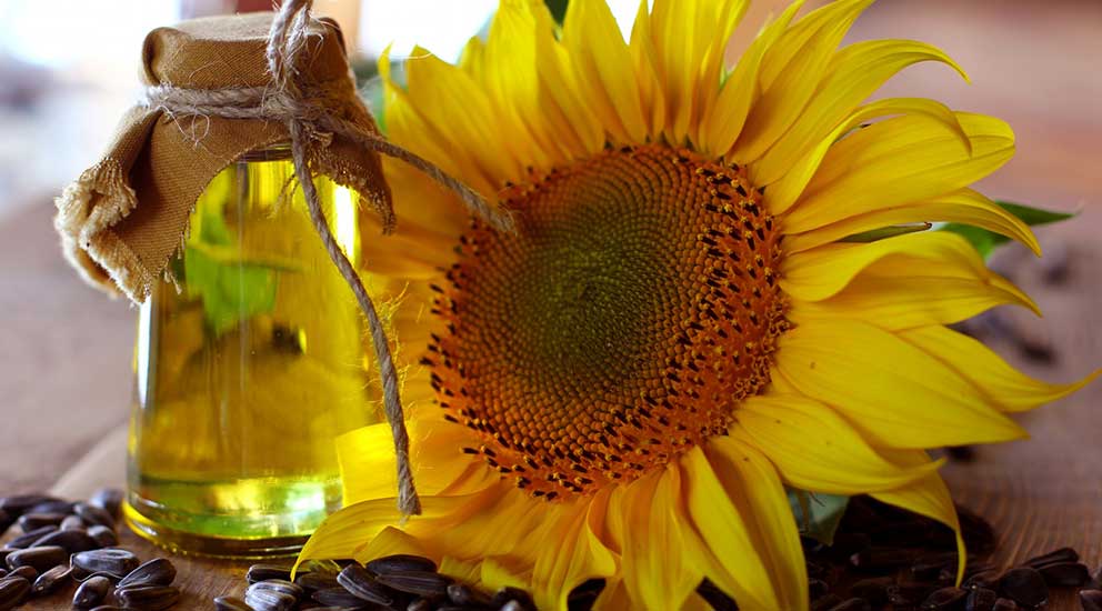 Sunflower Oil